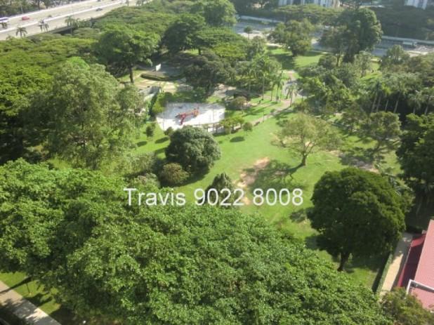 The Belvedere (D15), Condominium #63478142